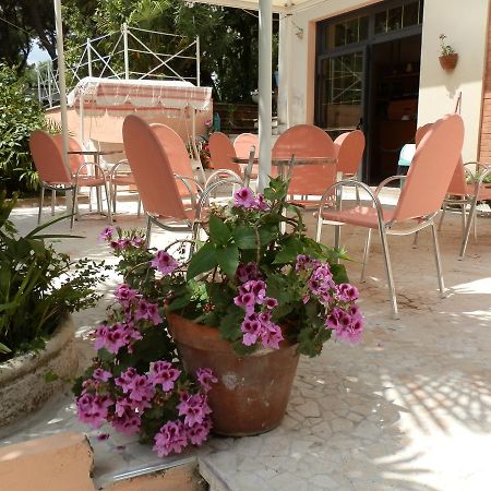 Hotel Antille Marina Romea Dış mekan fotoğraf